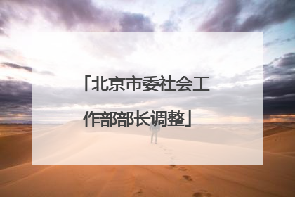 北京市委社会工作部部长调整