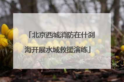 北京西城消防在什刹海开展水域救援演练