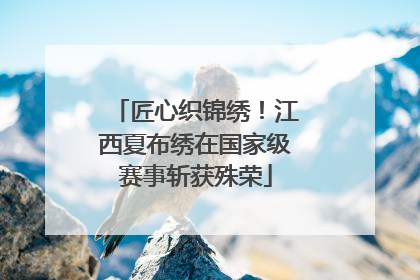 匠心织锦绣！江西夏布绣在国家级赛事斩获殊荣