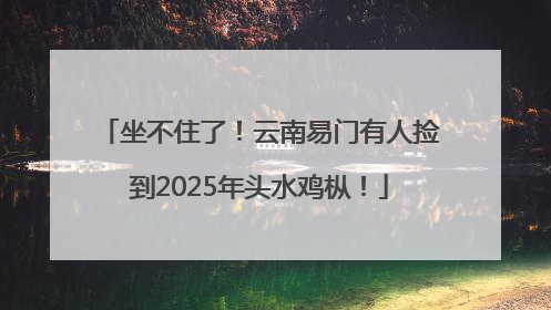 坐不住了！云南易门有人捡到2025年头水鸡枞！