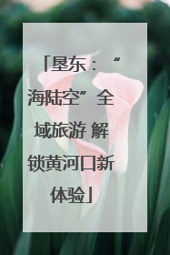 垦东：“海陆空”全域旅游 解锁黄河口新体验