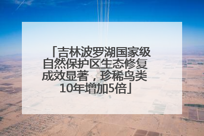 吉林波罗湖国家级自然保护区生态修复成效显著，珍稀鸟类10年增加5倍