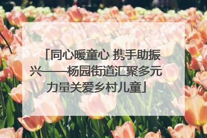 同心暖童心 携手助振兴——杨园街道汇聚多元力量关爱乡村儿童