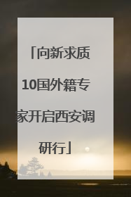 向新求质 10国外籍专家开启西安调研行