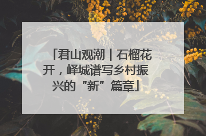 君山观潮｜石榴花开，峄城谱写乡村振兴的“新”篇章