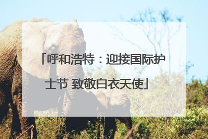 呼和浩特：迎接国际护士节 致敬白衣天使