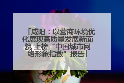 咸阳：以营商环境优化展现高质量发展新面貌 上榜“中国城市网络形象指数”报告