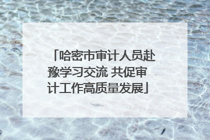 哈密市审计人员赴豫学习交流 共促审计工作高质量发展