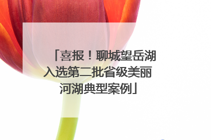 喜报！聊城望岳湖入选第二批省级美丽河湖典型案例