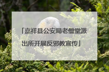 嘉祥县公安局老僧堂派出所开展反邪教宣传