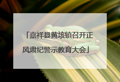 嘉祥县黄垓镇召开正风肃纪警示教育大会
