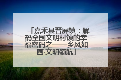 嘉禾县晋屏镇：解码全国文明村镇的幸福密码之——乡风如画·文明领航