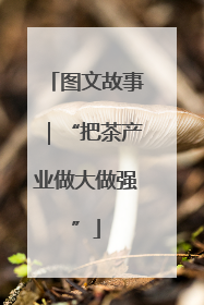 图文故事｜“把茶产业做大做强”