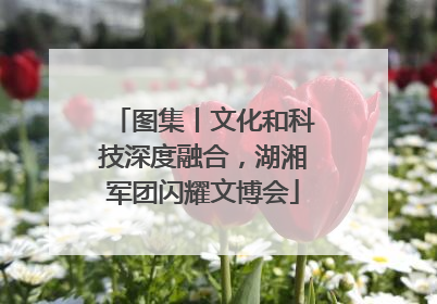 图集丨文化和科技深度融合，湖湘军团闪耀文博会