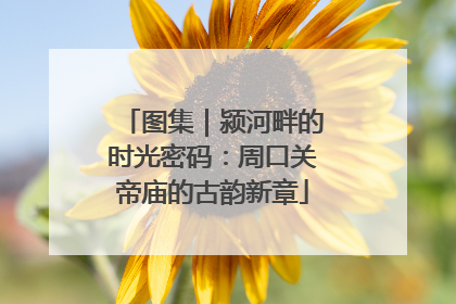 图集｜颍河畔的时光密码：周口关帝庙的古韵新章