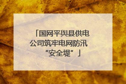 国网平舆县供电公司筑牢电网防汛“安全堤”