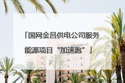 国网金昌供电公司服务能源项目“加速跑”