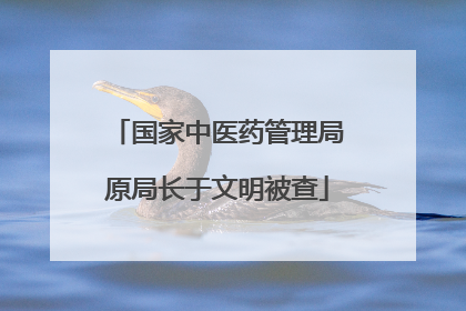 国家中医药管理局原局长于文明被查