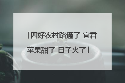 四好农村路通了 宜君苹果甜了 日子火了