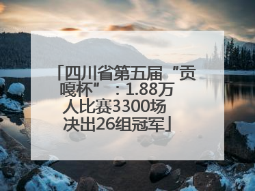 四川省第五届“贡嘎杯”：1.88万人比赛3300场 决出26组冠军