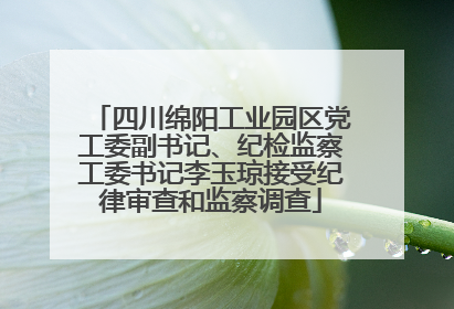 四川绵阳工业园区党工委副书记、纪检监察工委书记李玉琼接受纪律审查和监察调查