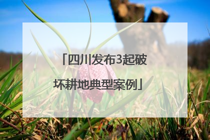 四川发布3起破坏耕地典型案例
