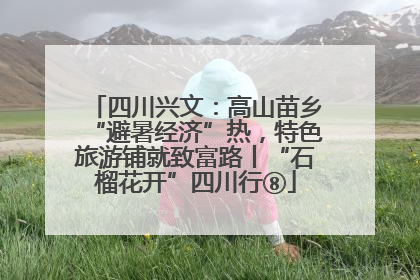 四川兴文：高山苗乡“避暑经济”热，特色旅游铺就致富路丨“石榴花开”四川行⑧