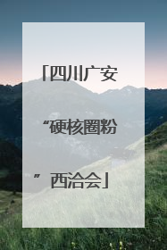四川广安“硬核圈粉”西洽会