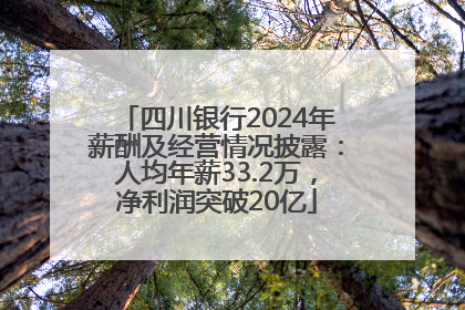 四川银行2024年薪酬及经营情况披露：人均年薪33.2万，净利润突破20亿
