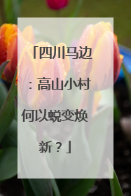 四川马边：高山小村何以蜕变焕新？