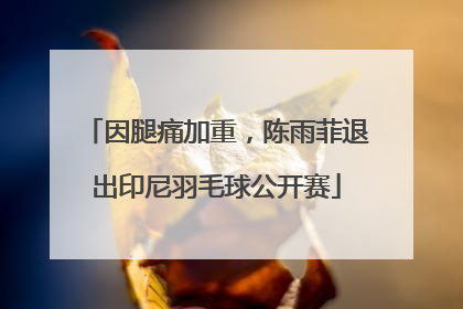 因腿痛加重，陈雨菲退出印尼羽毛球公开赛