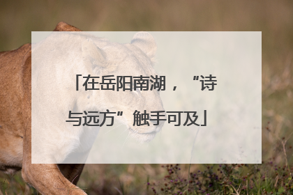 在岳阳南湖，“诗与远方”触手可及