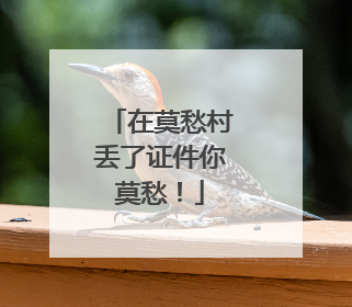 在莫愁村丢了证件你莫愁！