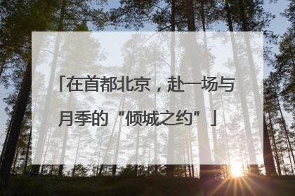 在首都北京，赴一场与月季的“倾城之约”
