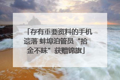 存有重要资料的手机遗落 蚌埠泊管员“拾金不昧”获赠锦旗