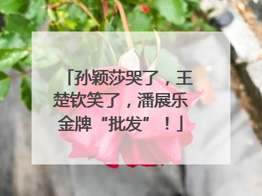 孙颖莎哭了，王楚钦笑了，潘展乐金牌“批发”！