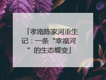 孝南陈家河重生记：一条“幸福河”的生态蝶变