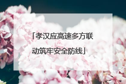 孝汉应高速多方联动筑牢安全防线