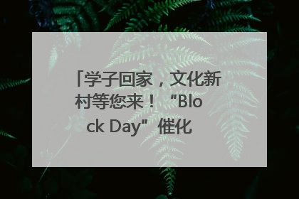 学子回家，文化新村等您来！“Block Day”催化学院式街区新生态