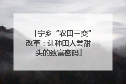 宁乡“农田三变”改革：让种田人尝甜头的致富密码