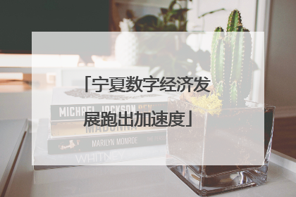宁夏数字经济发展跑出加速度