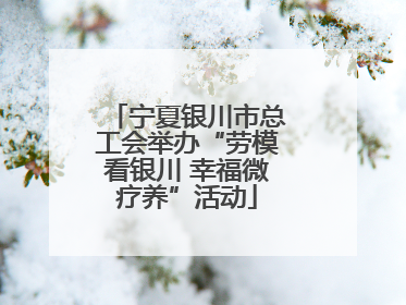 宁夏银川市总工会举办“劳模看银川 幸福微疗养”活动