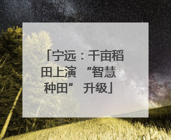 宁远：千亩稻田上演 “智慧种田” 升级