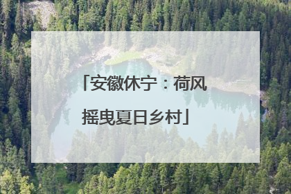 安徽休宁：荷风摇曳夏日乡村