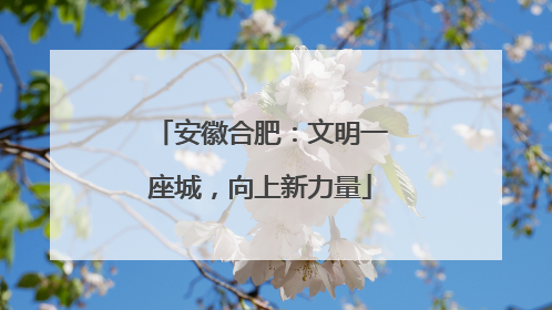 安徽合肥：文明一座城，向上新力量