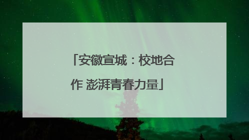 安徽宣城：校地合作 澎湃青春力量