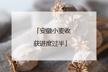 安徽小麦收获进度过半