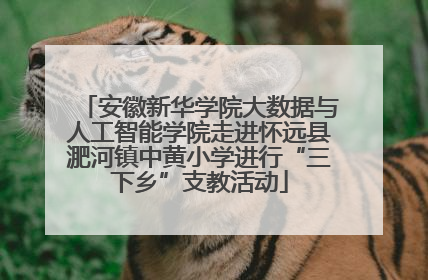 安徽新华学院大数据与人工智能学院走进怀远县淝河镇中黄小学进行“三下乡”支教活动