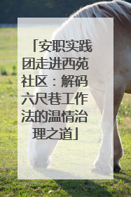 安职实践团走进西苑社区：解码六尺巷工作法的温情治理之道