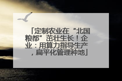 定制农业在“北国粮都”茁壮生长！企业：用算力指导生产，扁平化管理种地